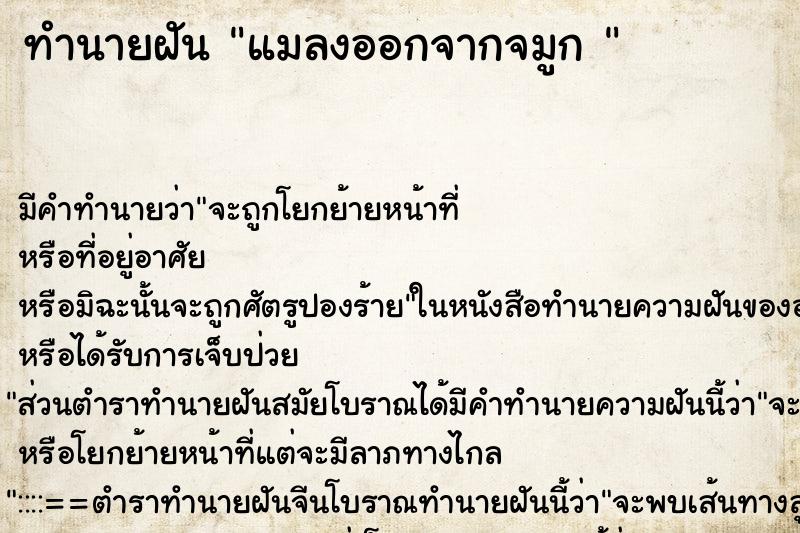 ทำนายฝัน แมลงออกจากจมูก 